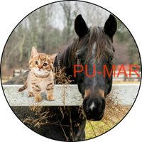 Opłatek na tort KONIE Koń Mustang Konik Kuc Urodziny Tekst Gratis