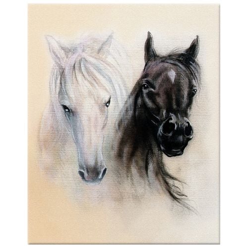 Obraz Na Płótnie 40X50 Black And White na Arena.pl