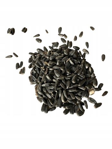 Słonecznik czarny 20 kg na Arena.pl