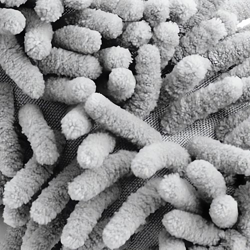 Zestaw Do Mycia Czyszczenia Osuszania Ręcznik Rękawica Szczotka Felg Auta na Arena.pl