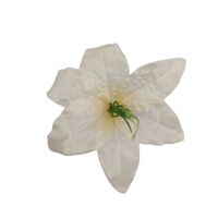 Lilia wyrobowa kremowa 12 szt