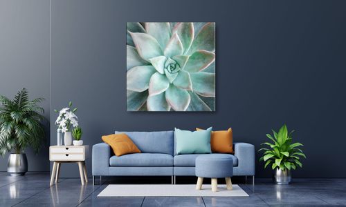 OBRAZ NA PŁÓTNIE 098 Sukulent 70x70cm na Arena.pl