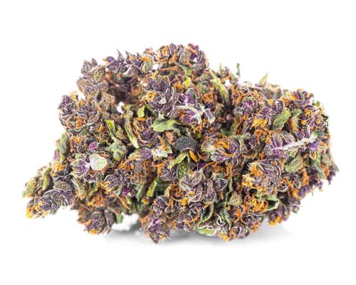 Susz konopny Purple Haze SUPER AMSTERDAM CBD 50g na Arena.pl