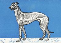 Plakat 70x50cm Chart 2, Moriz Jung Vintage do Salonu