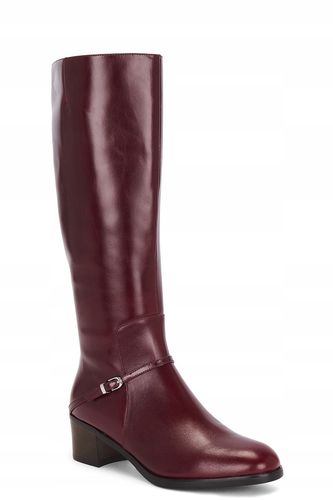 Jeffrey Campbell Equestria r.41 na Arena.pl