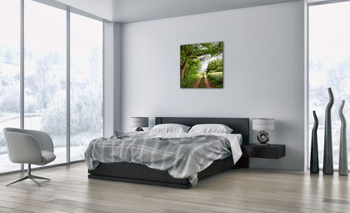 Obraz Na Płótnie - Las Pole Droga - 70X70 Cm - Ac70X70-2637 na Arena.pl