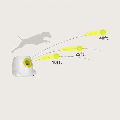 BOT WYRZUTNIA PIŁEK DLA PSA na Arena.pl
