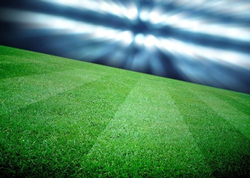 Chwastox COMPLEX 260 EW 1L chwasty trawniki boiska na Arena.pl