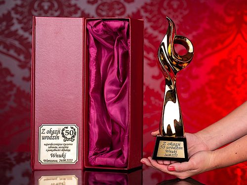 Spirala Statuetka Nagroda dla Klienta Szefa Dyplom na Arena.pl