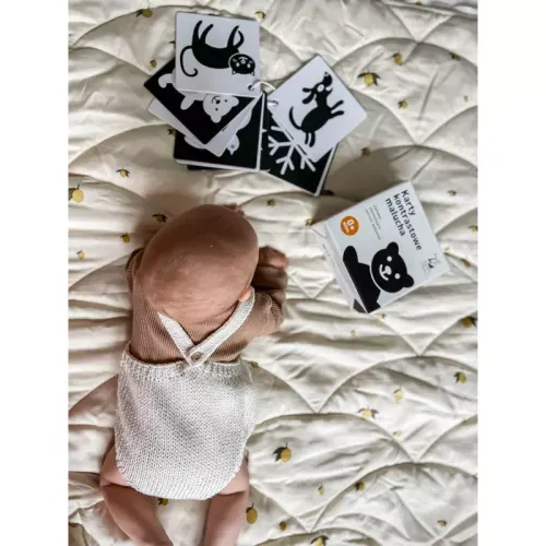 Karty kontrastowe malucha. 0+ miesięcy na Arena.pl