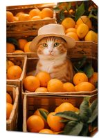 product-compare-59471107