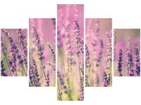 70 100CM OBRAZ 5 ELEM LAWENDA DRUK PŁÓTNO