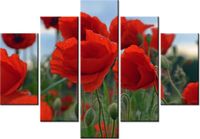 105CM 150CM OBRAZ 5 ELEM MAKI DUNCAN DRUK