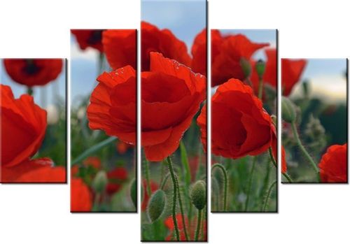 105CM 150CM OBRAZ 5 ELEM MAKI DUNCAN DRUK na Arena.pl