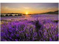 product-compare-58682247