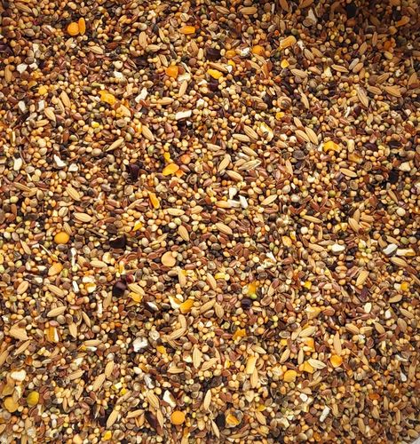 Karma KAMPOL 25kg mg mdm pozagatunkowa dla gołębi king bp r całoroczna na Arena.pl