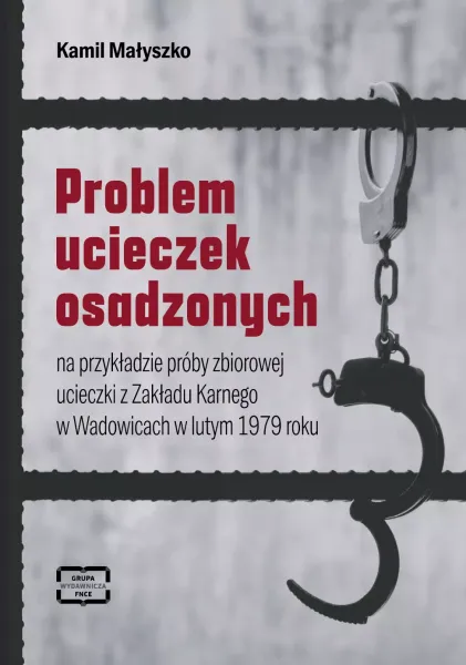Problem ucieczek osadzonych zdjęcie 1