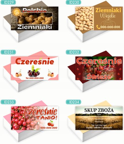 Wizytówki firmowe 200 szt WIELE WZORÓW do wyboru SPRZEDAM NIERUCHOMOŚĆ na Arena.pl