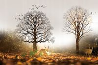 FOTOTAPETA widok natura drzewa zwierzęta kwiaty