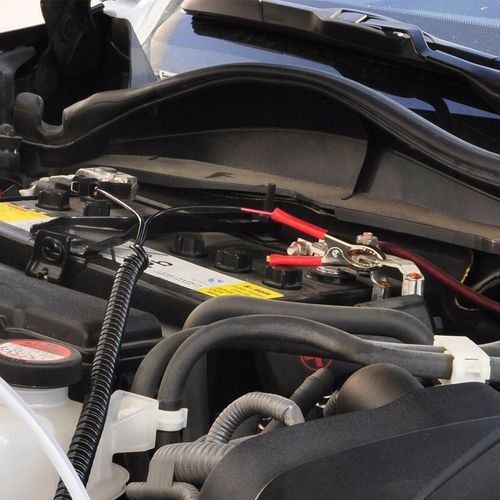 Pompa do paliwa Renew Force ELEKTRYCZNA POMPA DO OLEJU SAMOCHODOWEGO na Arena.pl