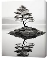 Obraz 70x90cm Samotne Drzewo
