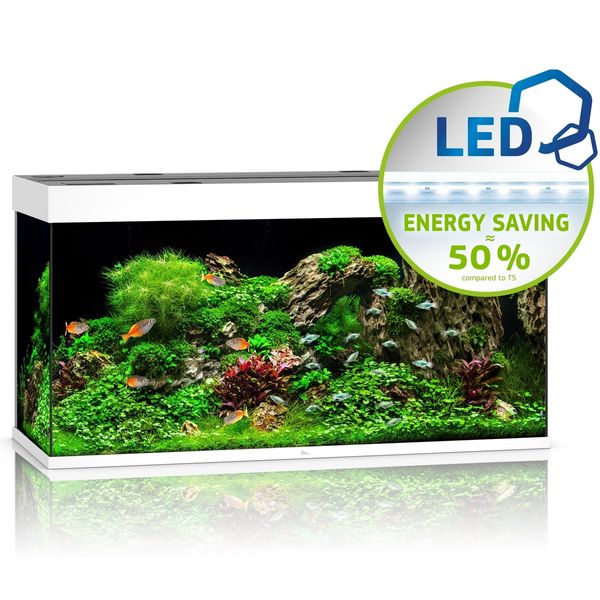 Juwel Rio 350 LED biały - akwarium zdjęcie 1
