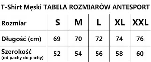 Koszulka Męska Termoaktywna Tshirt Do Biegania XL na Arena.pl