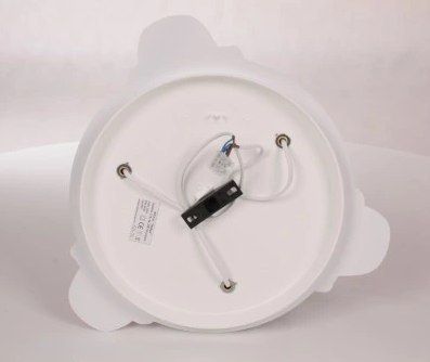 Płatek 5244423 zdjęcie 2