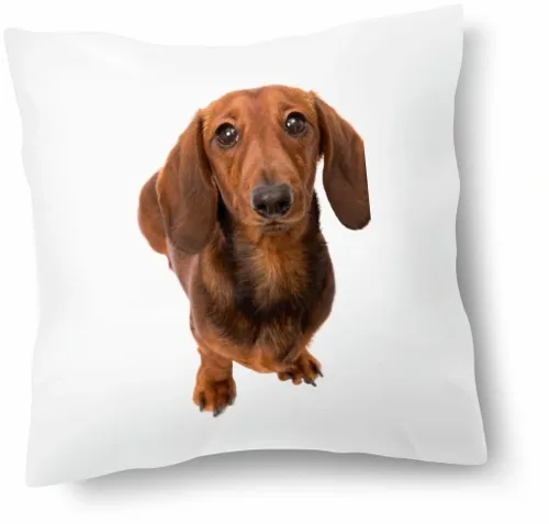 Zestaw PODUSZKA + KUBEK JAMNIK na Arena.pl