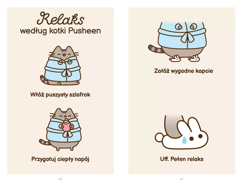 Wiele Żyć Kotki Pusheen zdjęcie 4