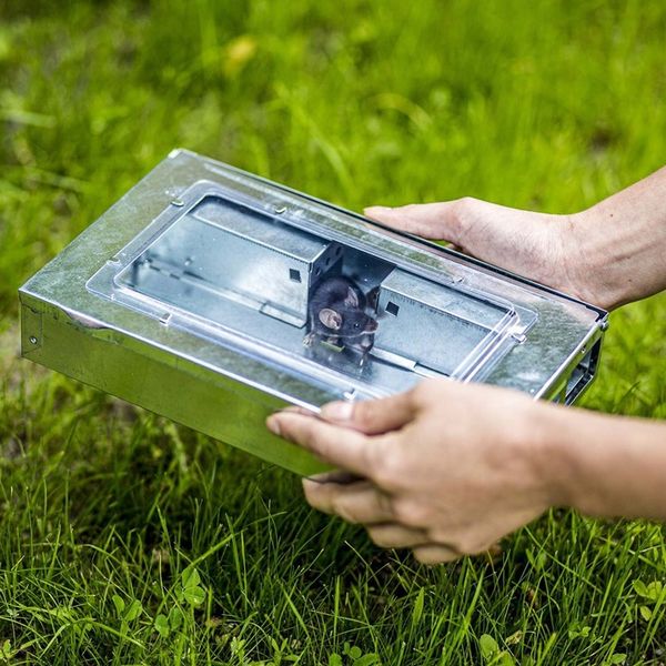 Pułapka Na Myszy Szczury Gryzonie Łapka Żywołapka Myszołapka Humanitarna zdjęcie 11