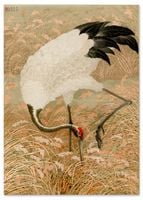 Plakat japoński żuraw biały 70x100 cm