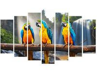 product-compare-58694407