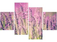 product-compare-58639290