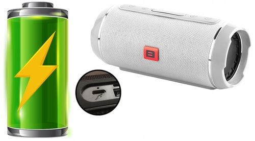 MOCNY GŁOŚNIK BLUETOOTH USB SD PRZENOŚNY BEZPRZEWODOWY RADIO WIEŻA na Arena.pl