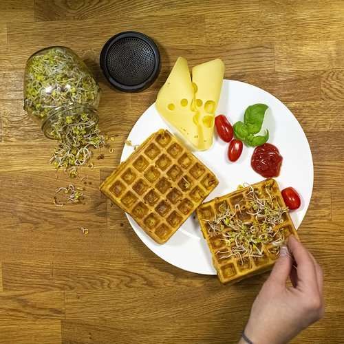 Kiełkownica słoikowa Twist-off + nasiona na Arena.pl