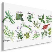 Obraz Na Płótnie Do Kuchni Zioła Przyprawy Rośliny Liście 100cm x 70cm