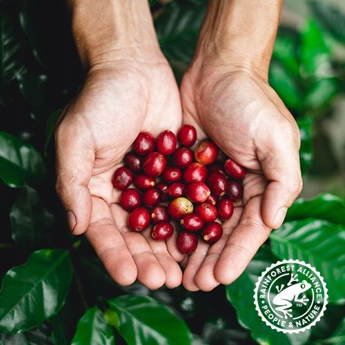 Costa Coffee Kawa Signature Blend Dark Mielona 2x500g na Arena.pl