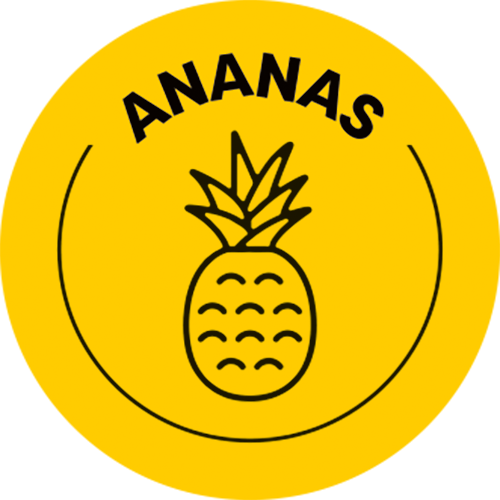 Optimal Baits Booster ANANAS 500ml na Arena.pl