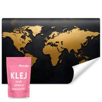 Fototapeta Do Biura Salonu Mapa Świata Abstrakcja Kontynenty 450cm x 300cm