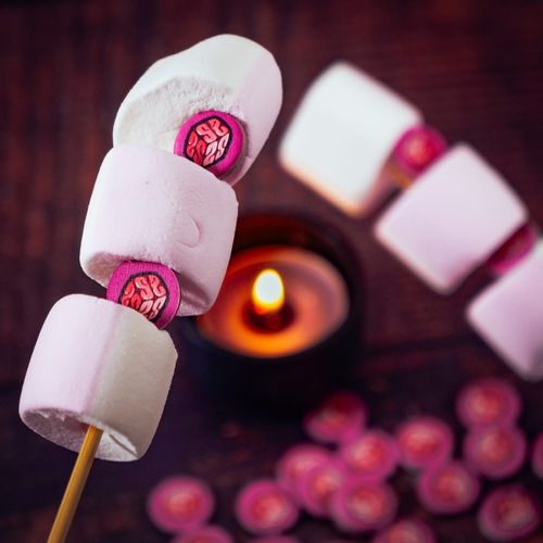 Gra Gra o mózg na Arena.pl