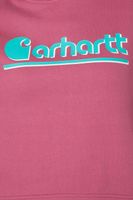 Carhartt bluza damska z kapturem Tencel Fiber Fall Graphic rozmiar S