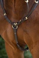 Napierśnik z wytokiem dla konia, brązowy, Cob, Covalliero