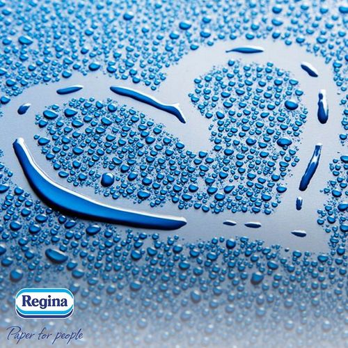 Papier Toaletowy Regina DELICATE+ (Delicatis) poduszeczki 4W zestaw 45 szt. na Arena.pl