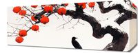 product-compare-59509821