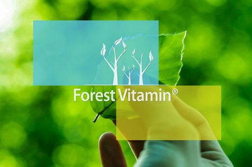 L-GLUTAMINA 500g L-GLUTAMINE 100% CZYSTE AMINOKWASY + BADANIA LABORATORYJNE na Arena.pl