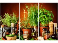 product-compare-58676928