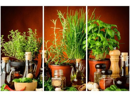 60 90CM OBRAZ 3 ELEM PRZYPRAWY ZIOŁOWE DRUK PŁÓTNO RAMA na Arena.pl