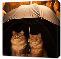 Obraz 60x60cm Jesienny Koci Schron