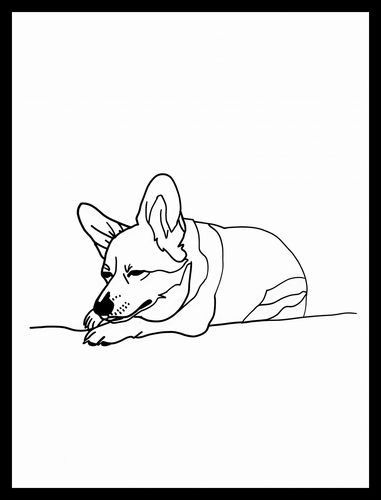 Plakat 30x40cm Śpiący Corgacz na Arena.pl